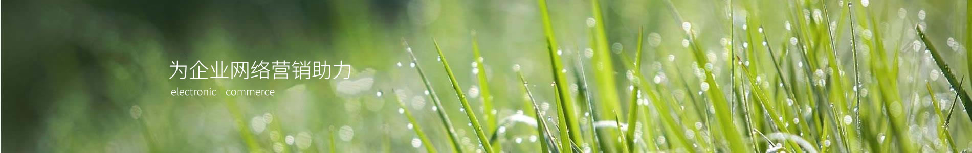 пưƼ޹˾